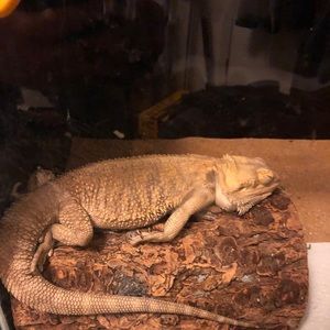 Meet your Posher, Jason